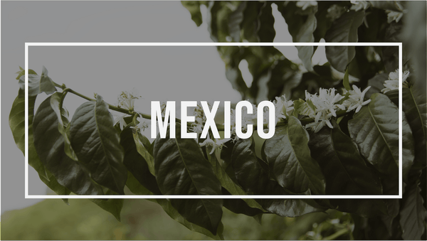 Latin America: Mexico