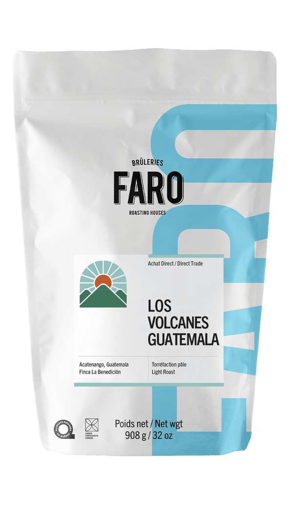 GUATEMALA LOS VOLCANES (2LB) Coffee Brown Roast