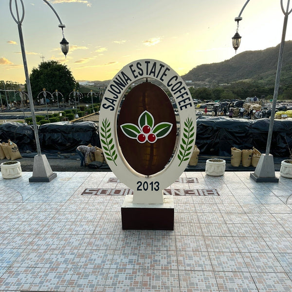 Nicaragua San Antonio Coffee