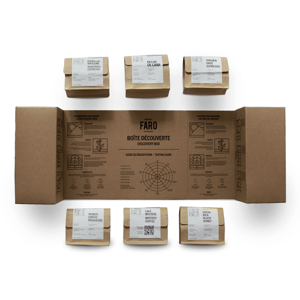 DISCOVERY BOX