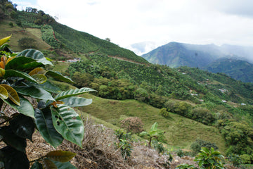 Sur le terrain au Guatemala et au Salvador