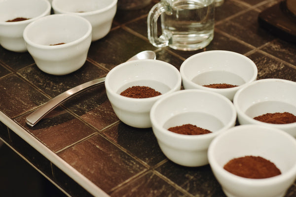 What you need to know about coffee tasting