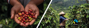 Fairtrade Certification in the Face of Coffee Inflation: Has the Consumer Reached Their Limit?