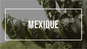 Amérique latine : Mexique
