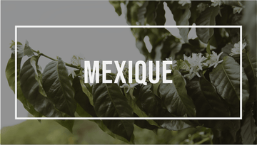 Amérique latine : Mexique