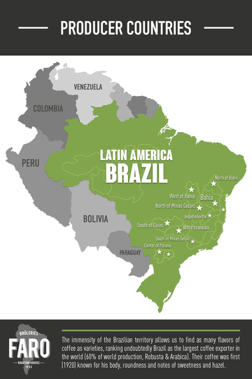 Latin America: Brazil