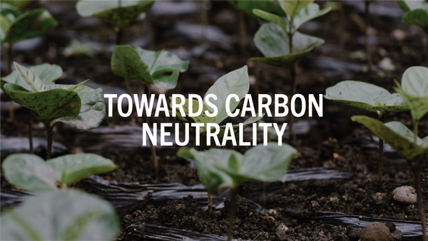 Towards carbon neutrality: how we offset our carbon emissions