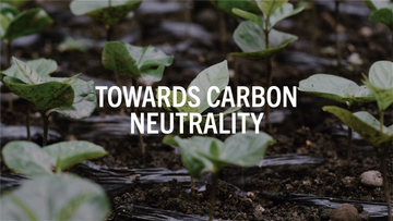 Towards carbon neutrality: how we offset our carbon emissions