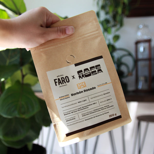 Borbon Rosado - Faro X Cafe Mosa Coffee 